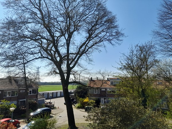 20250404_122425 - kopie.jpg